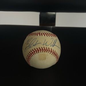 Autographed Blake Williams Official Major League Baseball